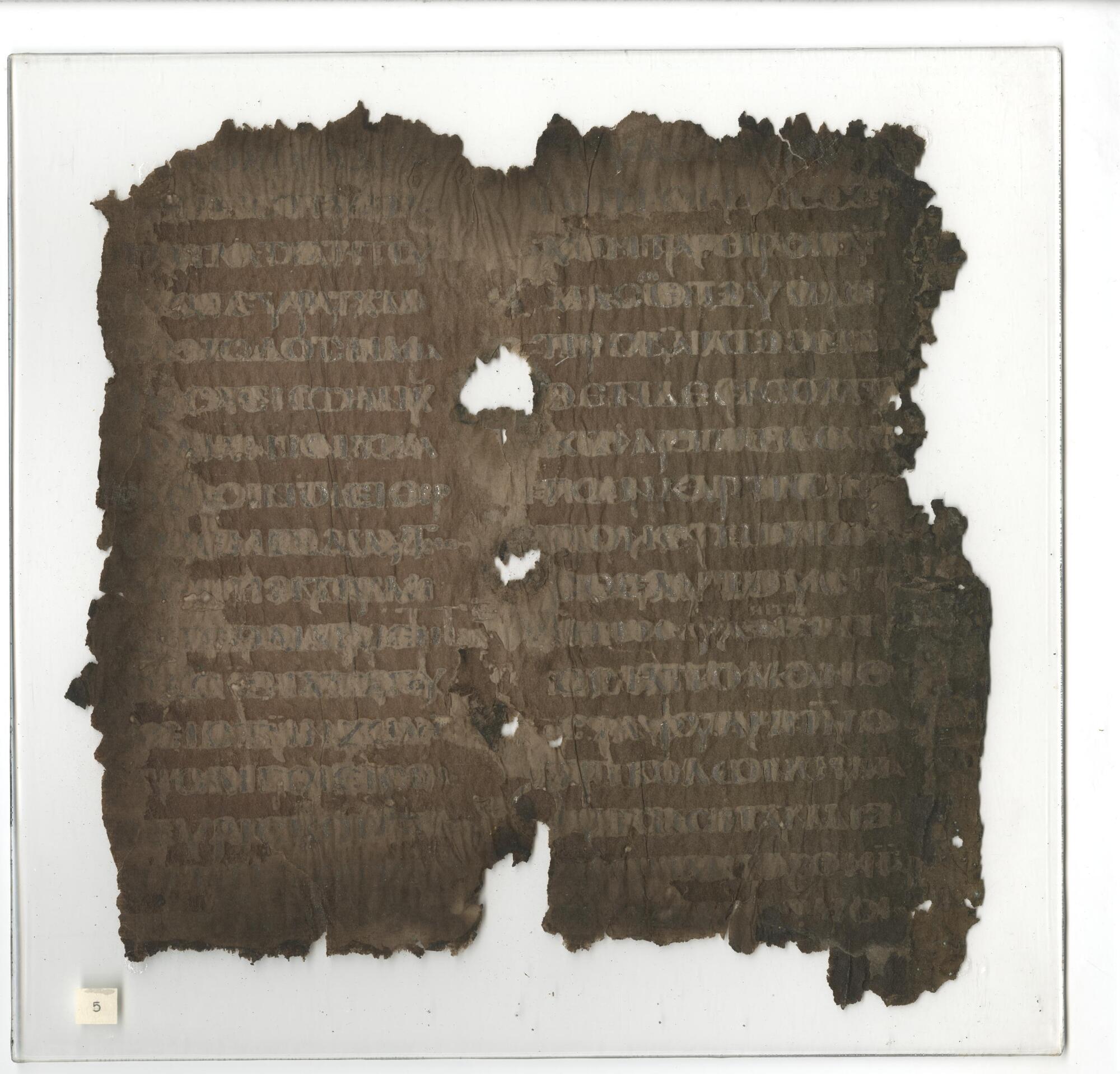 Discover Codex Purpureus Beratinus