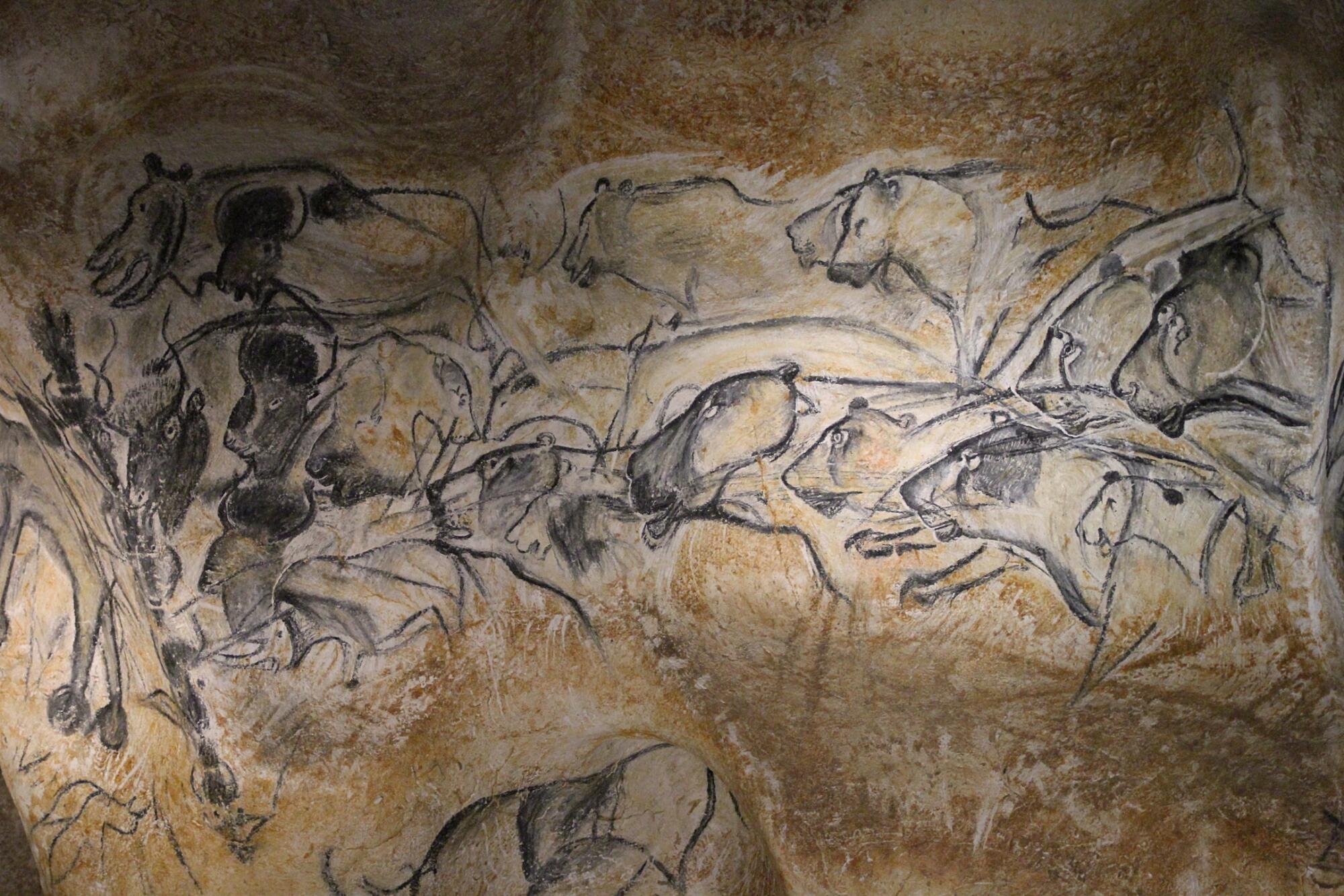 Preview of: "Lion Panel" Chauvet-Pont-d'Arc Cave Peinture pariétale préhistorique représentant un groupe de lions poursuivant des bisons et d'autres animaux.
