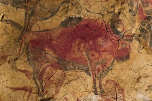Détail d'une peinture pariétale préhistorique représentant un bison polychrome, réalisée sur la paroi de la grotte d'Altamira.