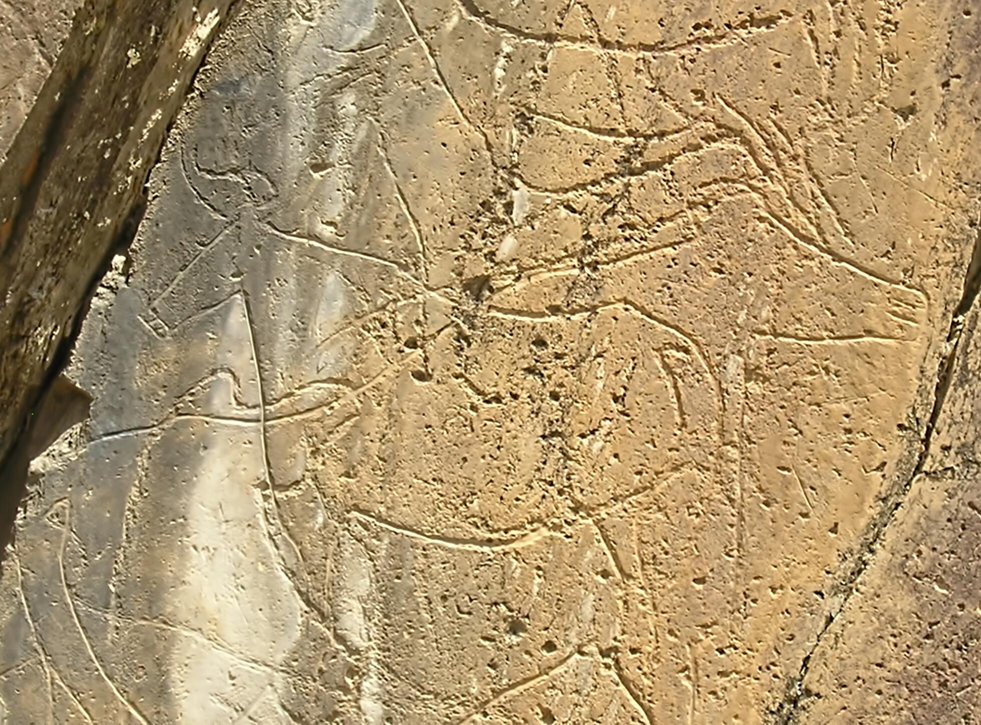 Preview of: Prehistoric Rock Art Sites in the Côa Valley Gravure rupestre préhistorique représentant un grand équidé et d'autres figures animales incisées sur une paroi rocheuse, appartenant au site d'art rupestre de la vallée du Côa.