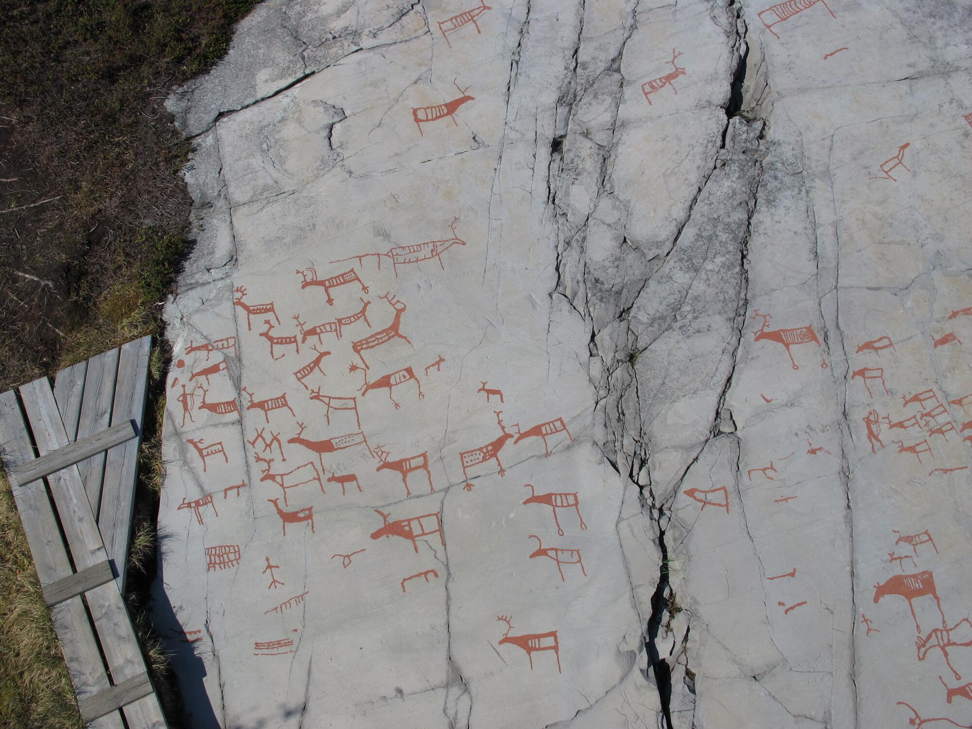 Preview of: Rock carvings at Alta Vue d’un ensemble de gravures rupestres représentant principalement des cervidés et des figures humaines, gravées sur une dalle rocheuse.