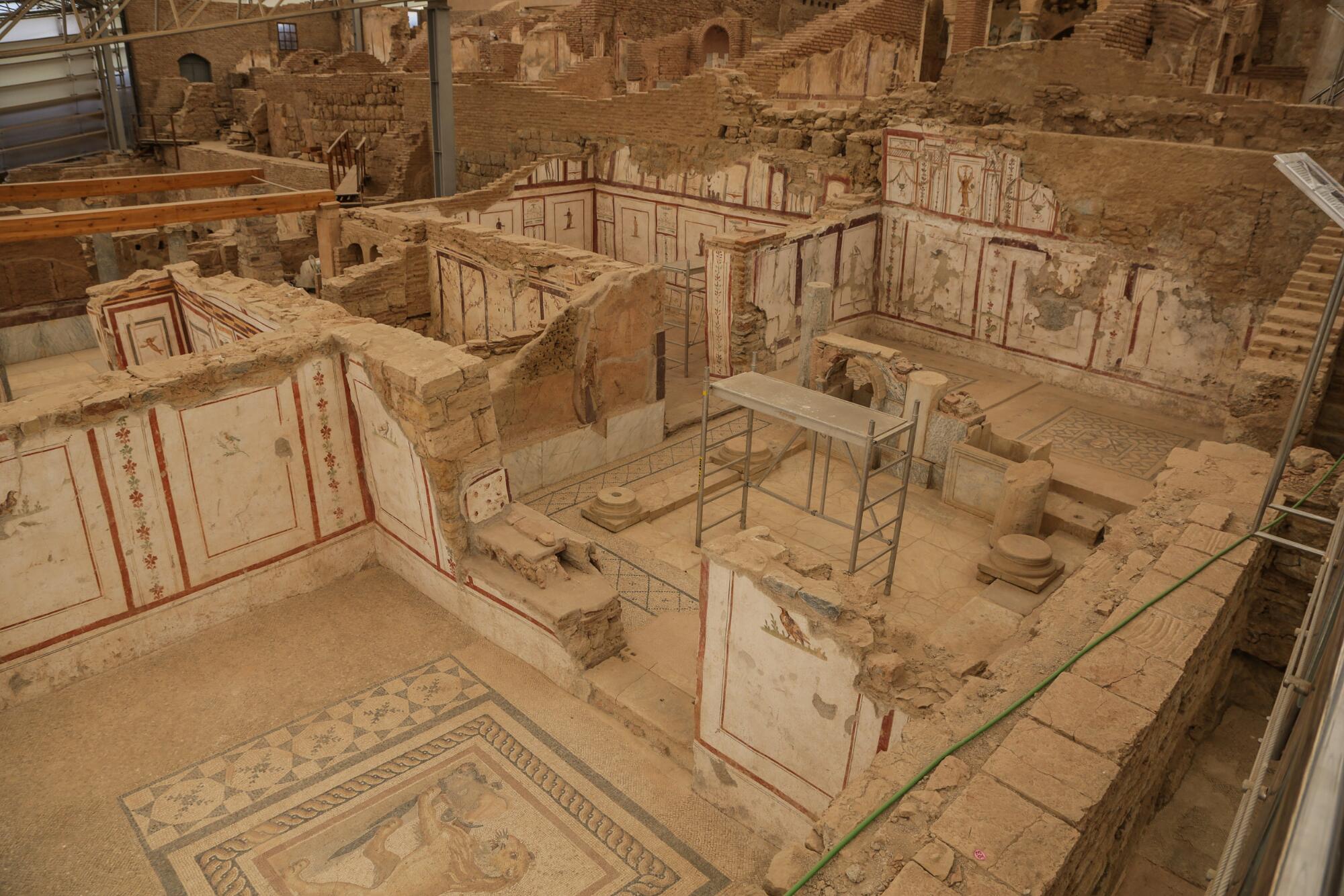Discover Roman Terrace Houses of Ephesus