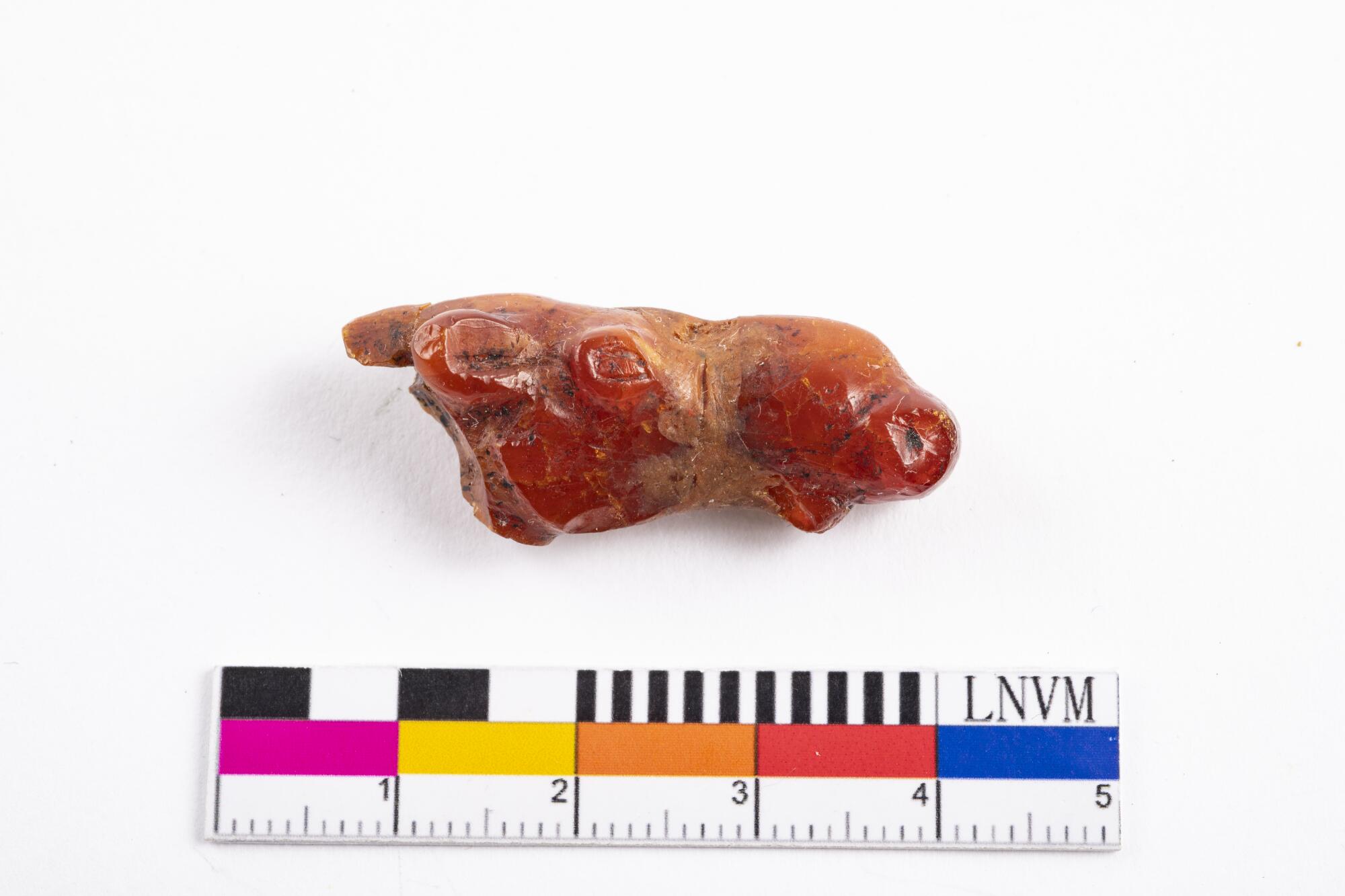 Preview of: Elk head from the Sārnate Settlement in Užava Petit objet sculpté représentant une tête animale
