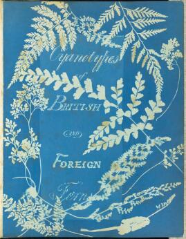 Preview of: British and Foreign Flowering Plants and Ferns, Title Page - undefined undefined Cyanotype présentant des silhouettes de fougères et de plantes disposées sur un fond bleu, accompagné d'un titre calligraphié illustrant un ouvrage de botanique.