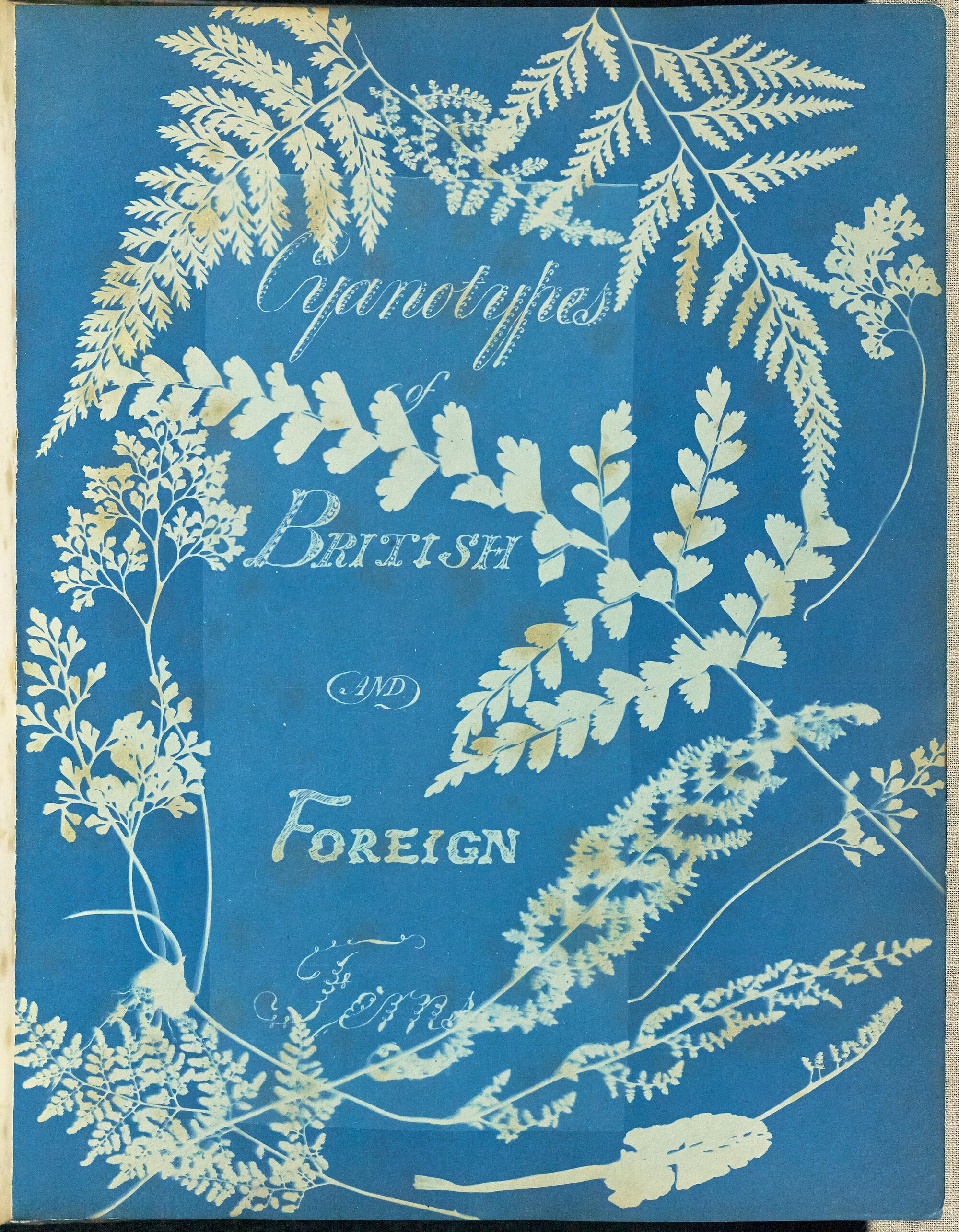 Discover British and Foreign Flowering Plants and Ferns, Title Page